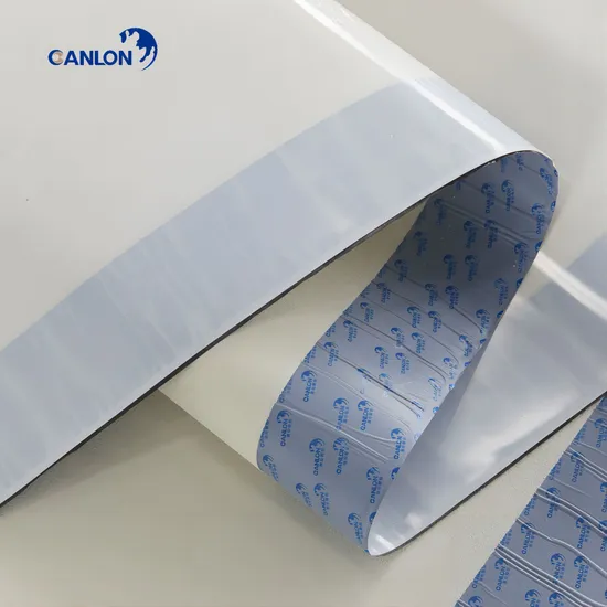 Canlon Below Ground Waterproofing HDPE Sheet Self