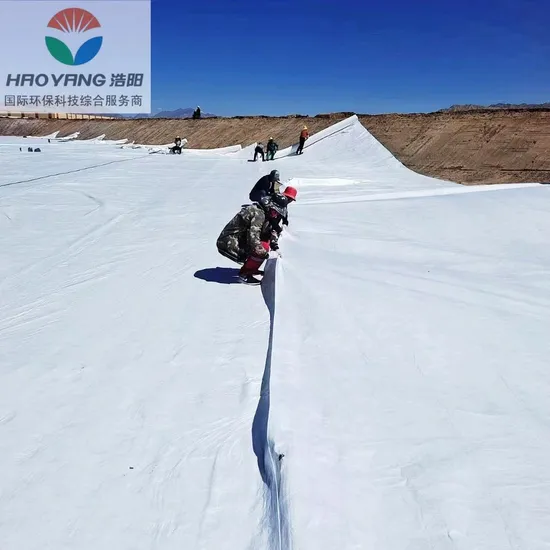 Staple Fiber Non Woven Class 1 Geotextile with GM13/ En Standard 